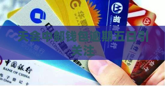 天会中邮钱包逾期五日引关注