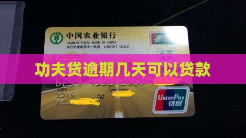 功夫贷逾期几天可以贷款