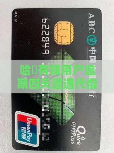 哈啰有钱用户逾期四天遭遇代偿危机
