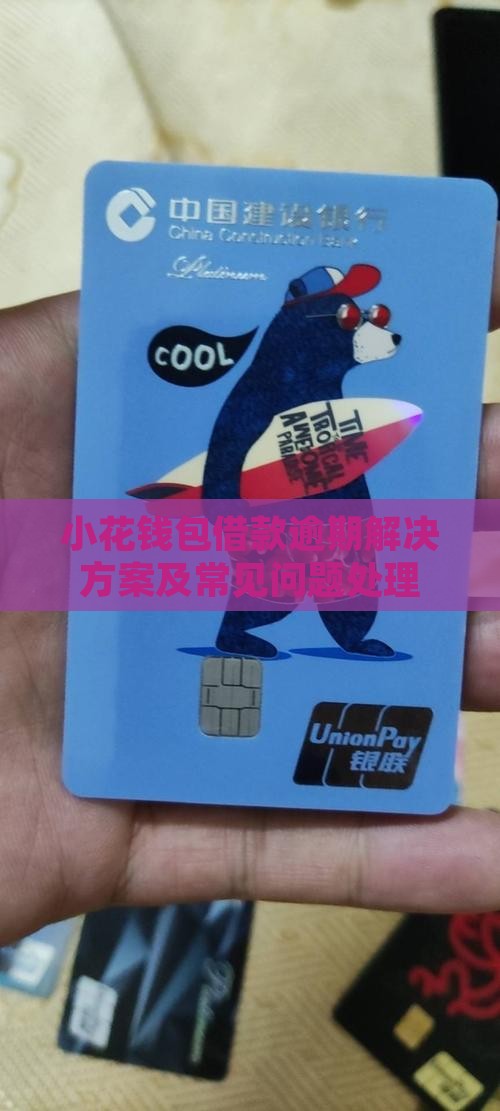 小花钱包借款逾期解决方案及常见问题处理