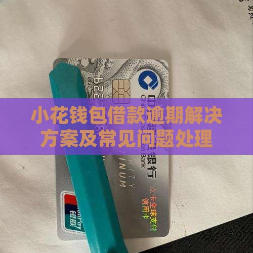 小花钱包借款逾期解决方案及常见问题处理