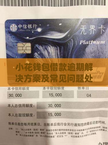 小花钱包借款逾期解决方案及常见问题处理