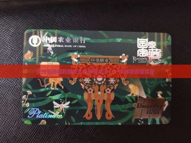 支付宝延期到期怎么办续费方法：一年期限调整完整