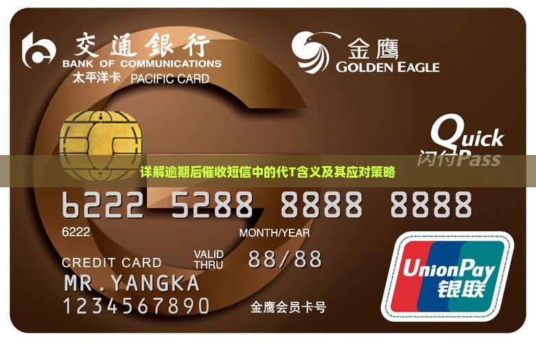 详解逾期后催收短信中的代T含义及其应对策略