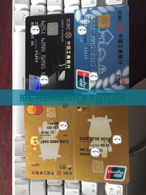 拍拍贷逾期解决方案与应对策略