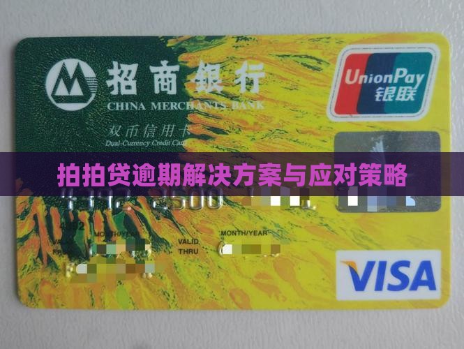 拍拍贷逾期解决方案与应对策略