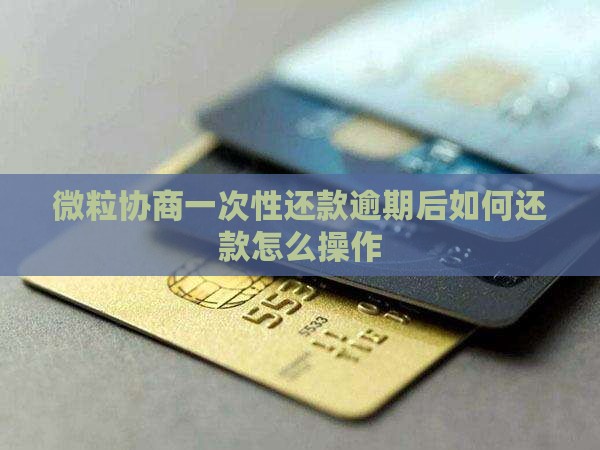 微粒协商一次性还款逾期后如何还款怎么操作