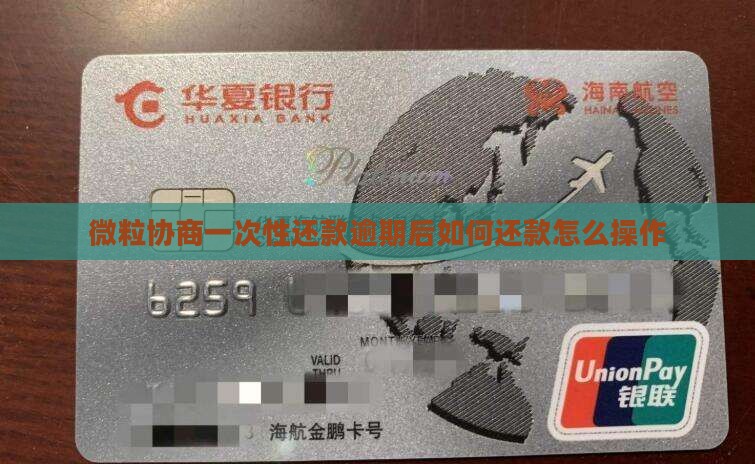微粒协商一次性还款逾期后如何还款怎么操作