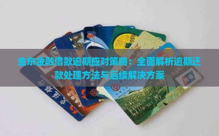 金东金融借款逾期应对策略：全面解析逾期还款处理方法与后续解决方案