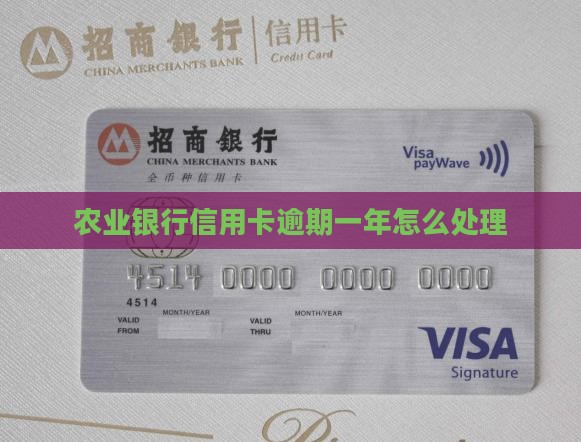 农业银行信用卡逾期一年怎么处理