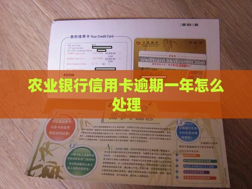 农业银行信用卡逾期一年怎么处理