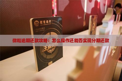 微粒逾期还款攻略：怎么操作还能否实现分期还款
