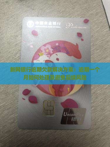 新网银行逾期欠款解决方案：逾期一个月如何处理及避免后续风险