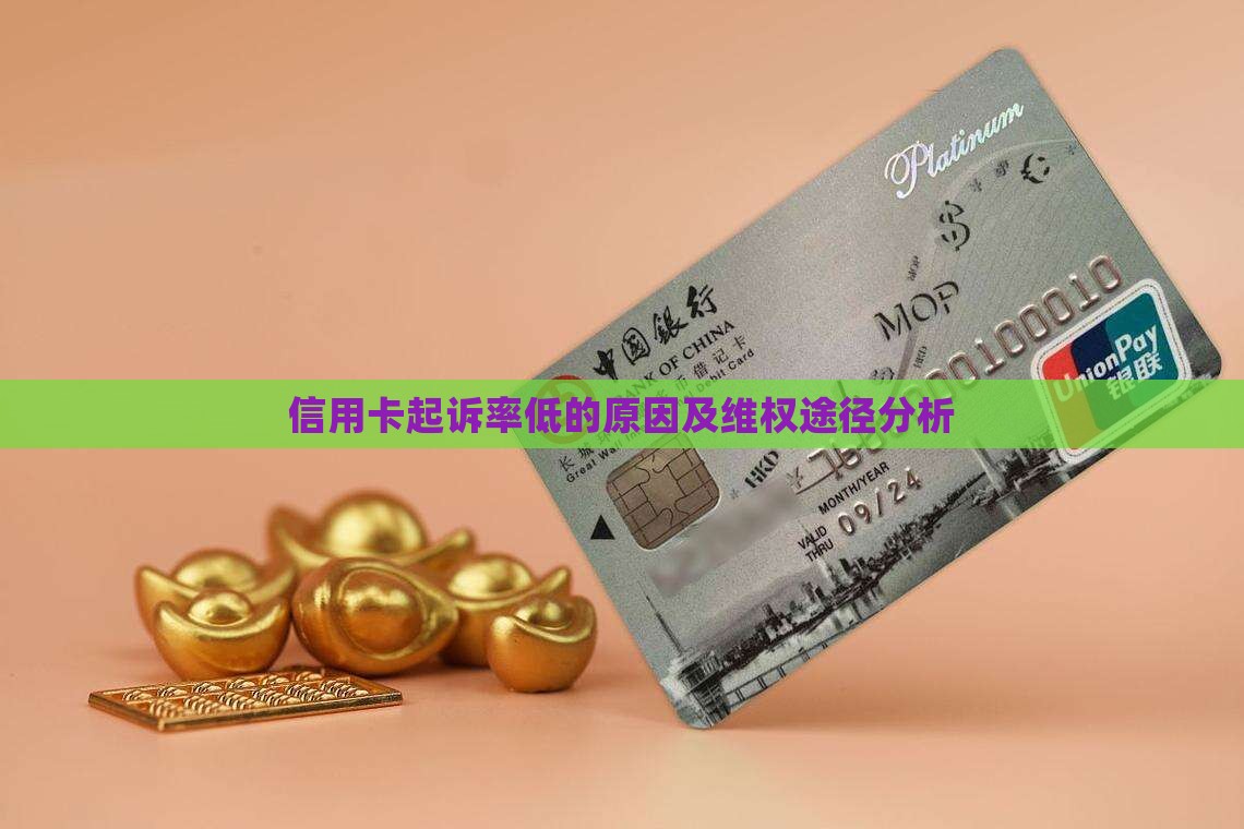 信用卡起诉率低的原因及维权途径分析
