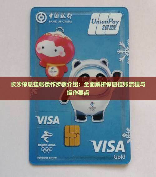 长沙停息挂帐操作步骤介绍：全面解析停息挂账流程与操作要点