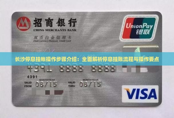 长沙停息挂帐操作步骤介绍：全面解析停息挂账流程与操作要点