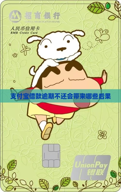 支付宝借款逾期不还会带来哪些后果