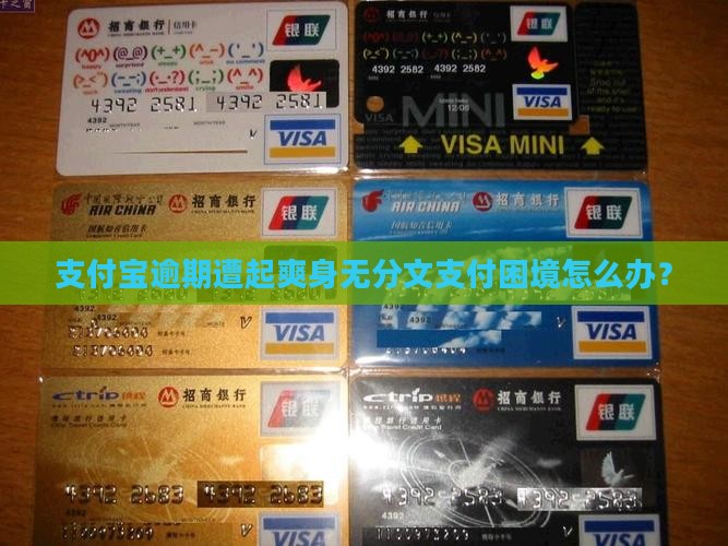 支付宝逾期遭起爽身无分文支付困境怎么办？
