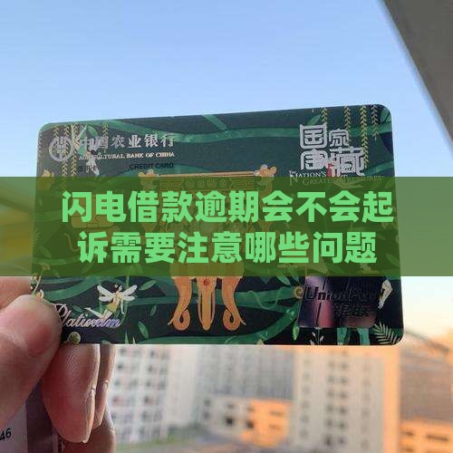 闪电借款逾期会不会起诉需要注意哪些问题
