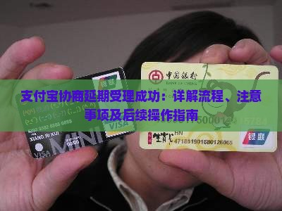 支付宝协商延期受理成功：详解流程、注意事项及后续操作指南