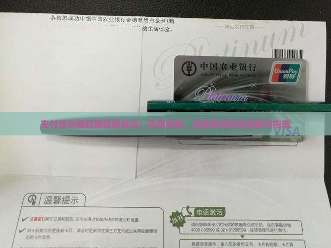 支付宝协商延期受理成功：详解流程、注意事项及后续操作指南