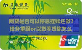 网贷是否可以停息挂账还款是一种可行的方式吗