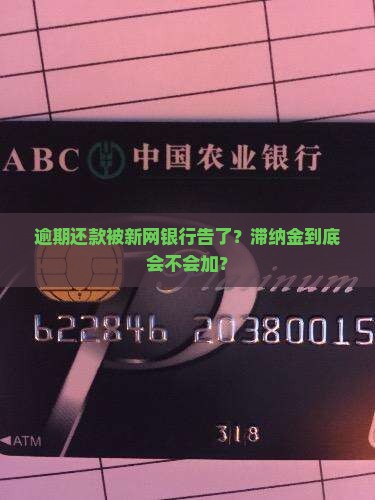 新网银行起诉后是否要支付滞纳金