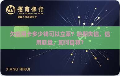 欠信用卡多少钱可以立案