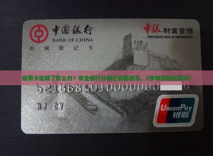 农业银行信用卡分期逾期怎么办理