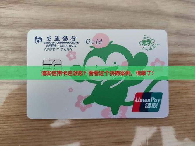浦发信用卡协商还款案例怎么解决