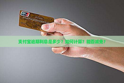 支付宝逾期利息