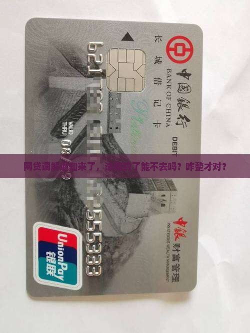 法院调解网贷可以不去吗怎么办理