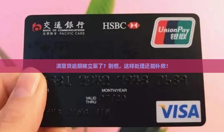 满意贷逾期被立案如何处理