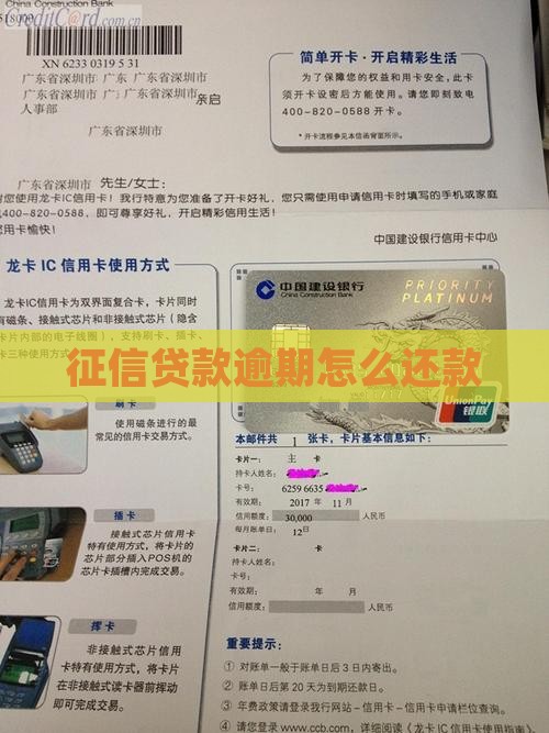 征信贷款逾期怎么还款