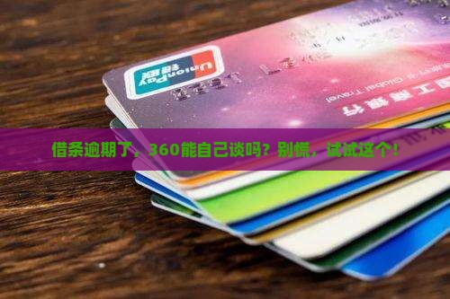 360借条能自己协商吗