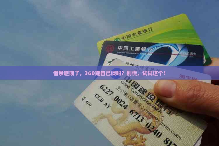 360借条能自己协商吗