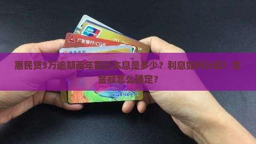 惠民贷3万逾期两年需还本息多少