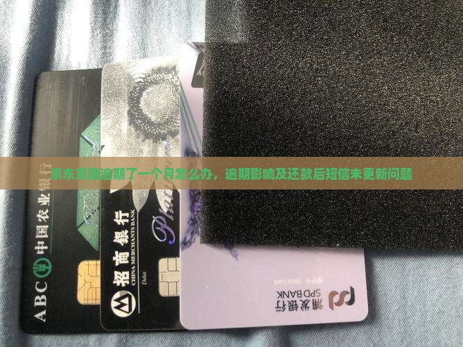 京东京融逾期了一个月怎么办