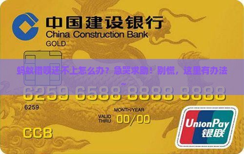 蚂蚁借贷无力偿还应如何处理