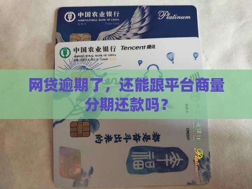 网贷逾期可否协商分期还款方案