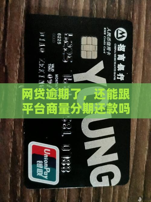 网贷逾期可否协商分期还款方案
