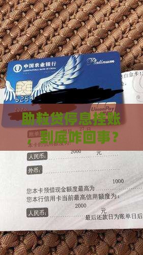 民生助粒贷停息挂账详解