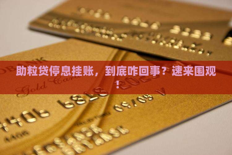 民生助粒贷停息挂账详解