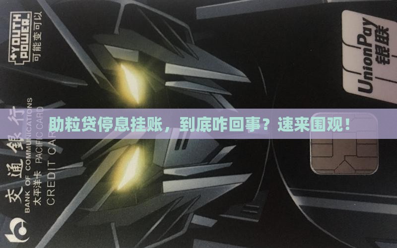 民生助粒贷停息挂账详解