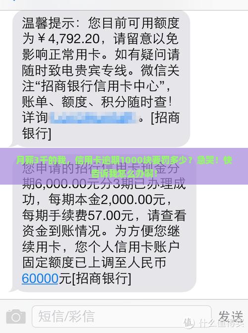 1000块逾期费多少钱需要缴纳