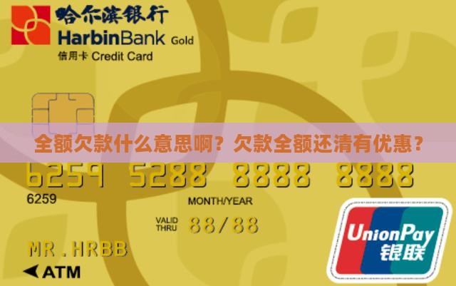 全额欠款什么意思啊