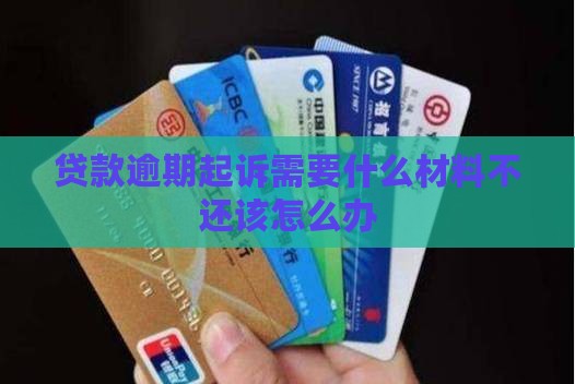 贷款逾期起诉需要什么文件