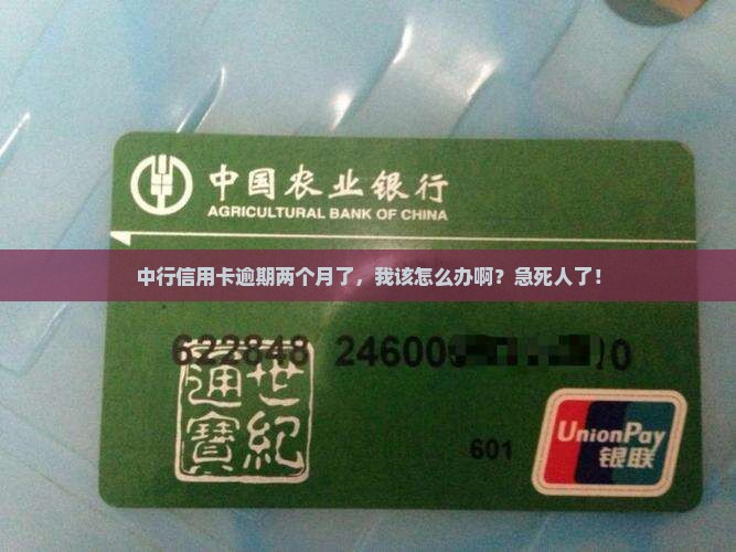 中行逾期两个月还款怎么办