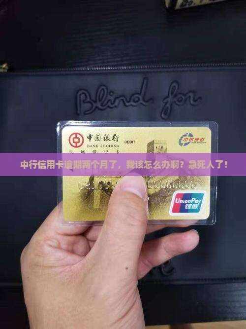 中行逾期两个月还款怎么办