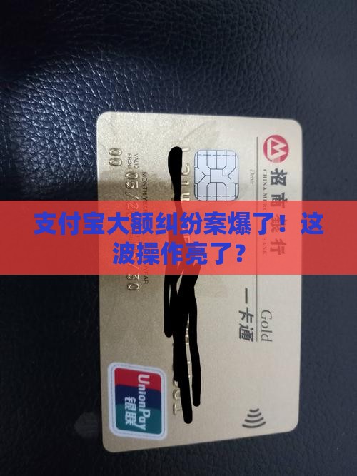 支付宝大额起诉案例解析